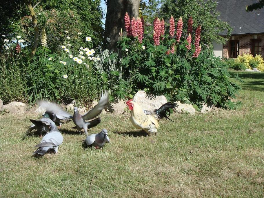 Les Coquelicots Villa Nibas Bagian luar foto
