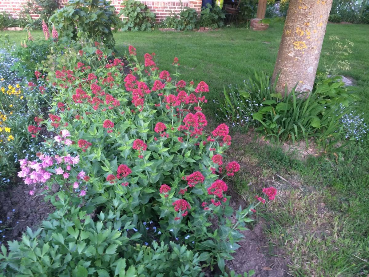 Les Coquelicots Villa Nibas Bagian luar foto