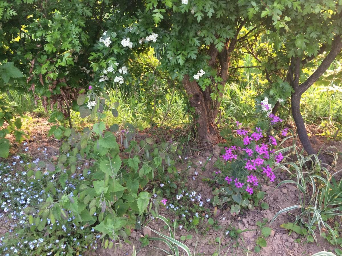 Les Coquelicots Villa Nibas Bagian luar foto
